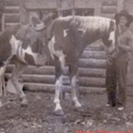 Below My Mother,<br> Marie Polson & Sunset